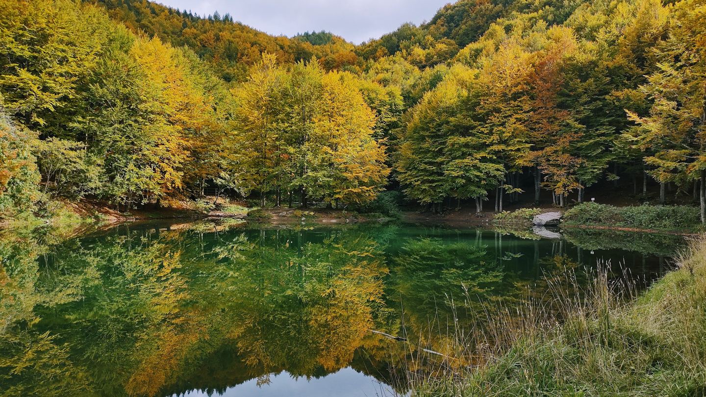 Autumn trees reflected in Cavone Lake in the Corno alle Scale area of Emilia-Romagna