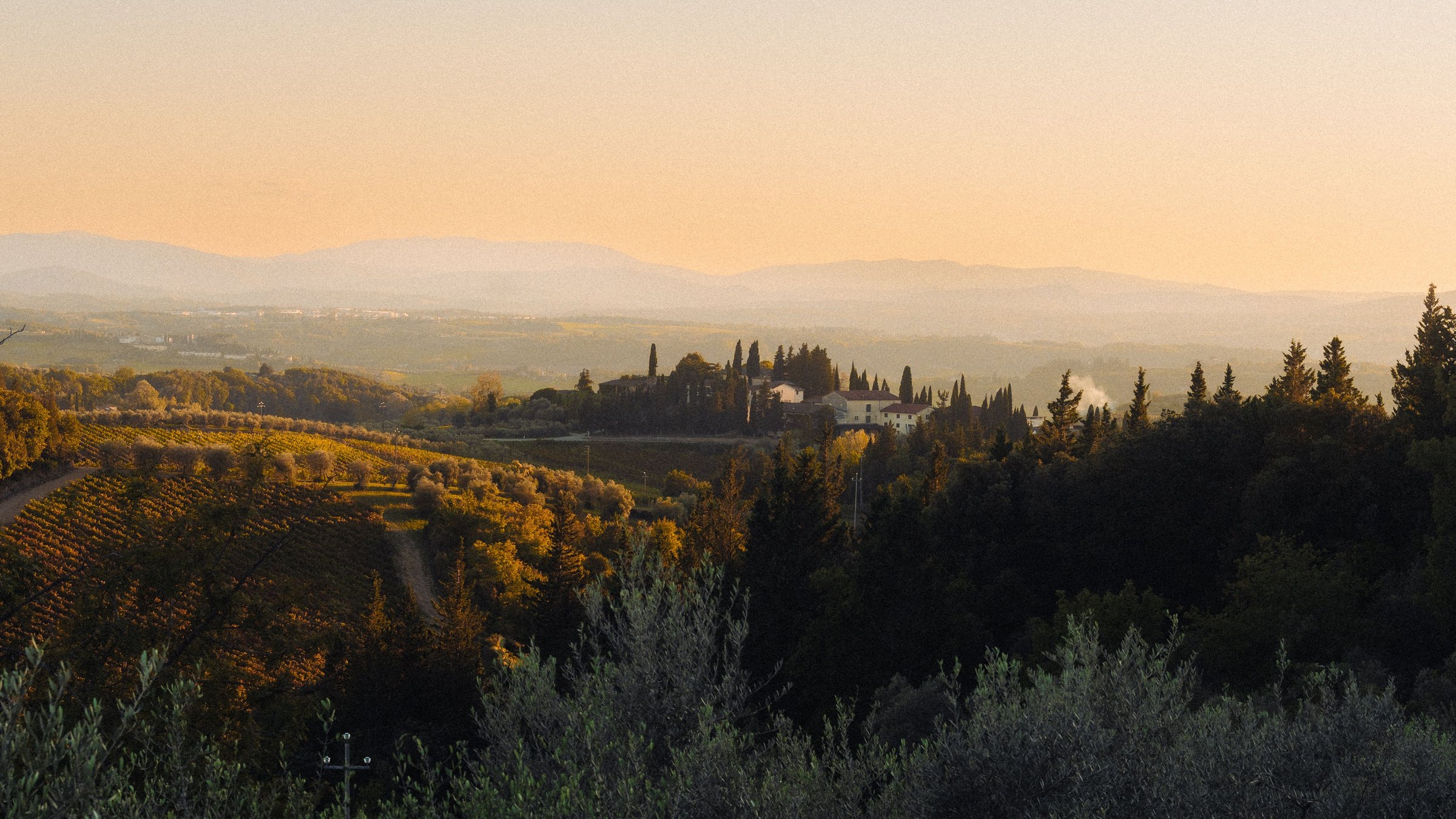 Warm sunset over layered Tuscan hills, vines, cypress trees and distant buildings